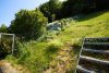 HTI | Solides Einfamilienhaus mit großem Garten in Schmitten - Garten