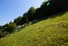 HTI | Solides Einfamilienhaus mit großem Garten in Schmitten - Garten