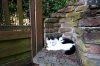 HTI | Familienfreundliches Reihenendhaus mit idyllischem Garten in Liederbach - Katze
