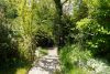 HTI | Wohnen in traumhafter Naturlage von Schmitten - Garten