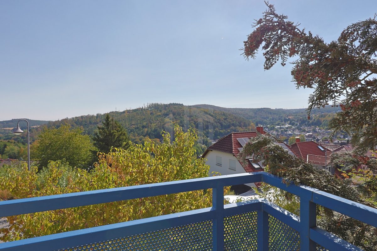 Ausblick