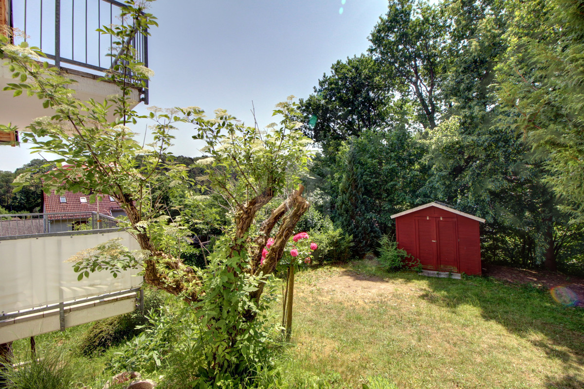 Blick in den Garten