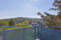 Ausblick